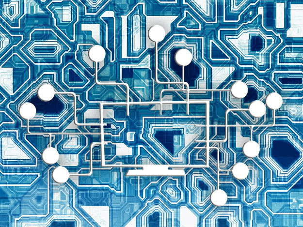 apis.jpg