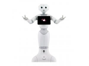 pepper_robo.jpg