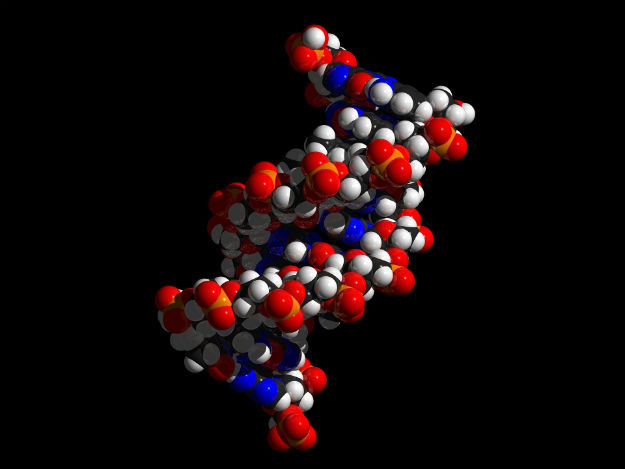dna_saude.jpg