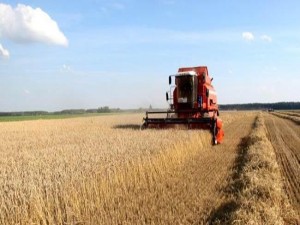 Cooperativa agrícola reduz pela metade ciclo de planejamento com análise de dados