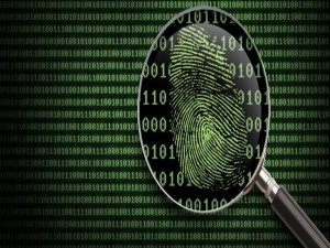 Internet vê queda de 87% em negociação de pacotes para automatizar ataques