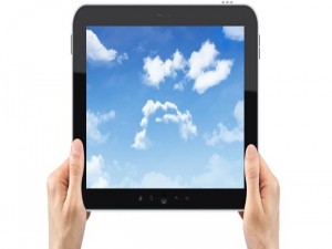 Grupo agrícola gaúcho implanta iPads para força de vendas