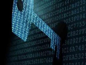 Noções de privacidade e segurança não existem mais
