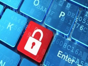 Brasil tem uma tentativa de fraude a cada 17