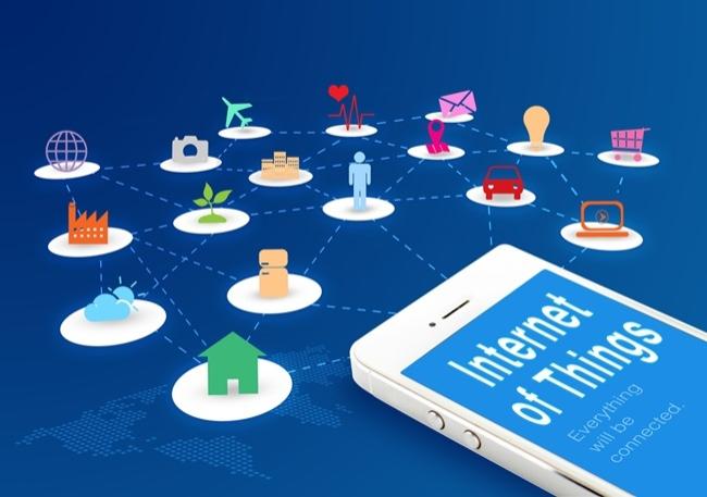 IoT amplia produtividade do setor agropecuário brasileiro