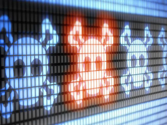 Cibercriminosos pagam até US$ 1 mil por malware Sphinx (e são enganados)