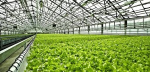 Basf inaugura Centro de Tecnologia de Aplicação para testar produtos de proteção de cultivos