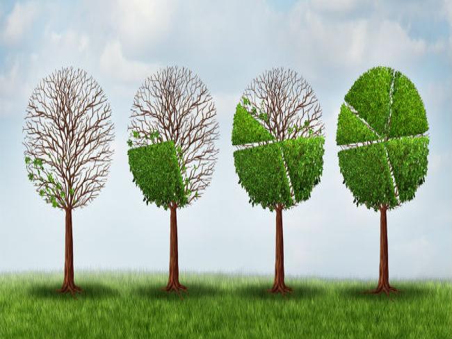 Internet das coisas pode melhorar desempenho de empresas em sustentabilidade?