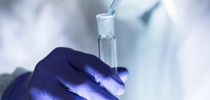 Aedes: pesquisadores do RS anunciam parceria para desenvolver tecnologias