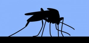 IBM fornece poder computacional para pesquisar vírus Zika