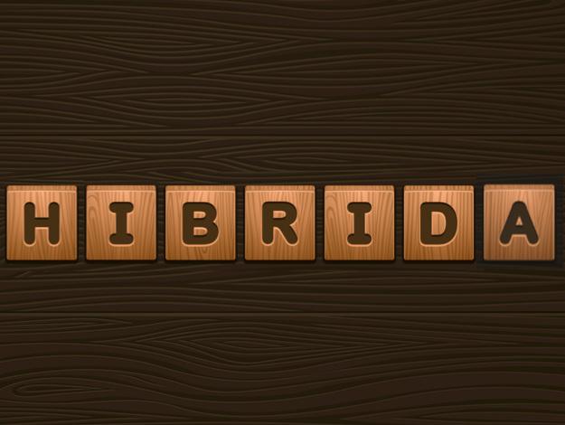 hibrida.jpg