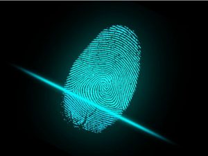 biometria.jpg