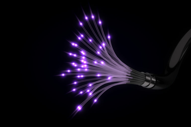 shutterstock 559242715