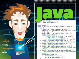 java.jpg