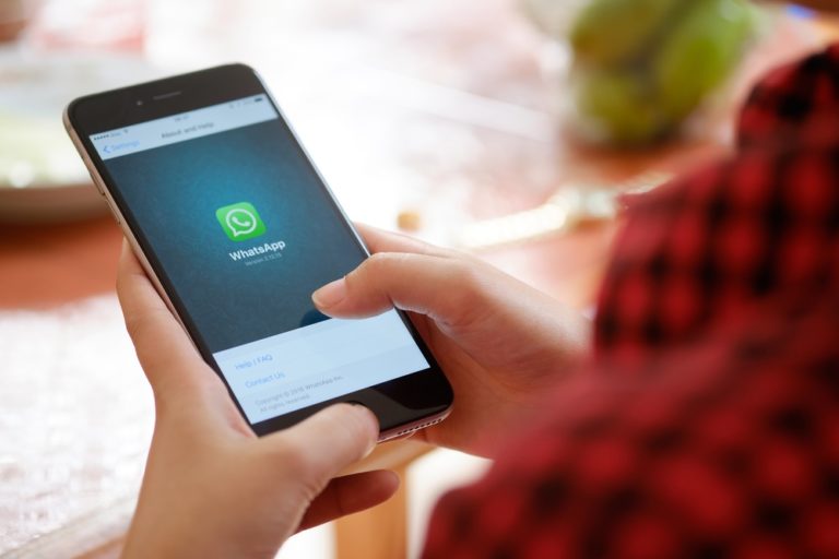 whatsapp brasil