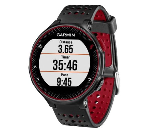 Garmin235-002