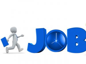 job.jpg
