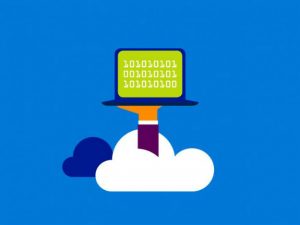 microsoft5.jpg