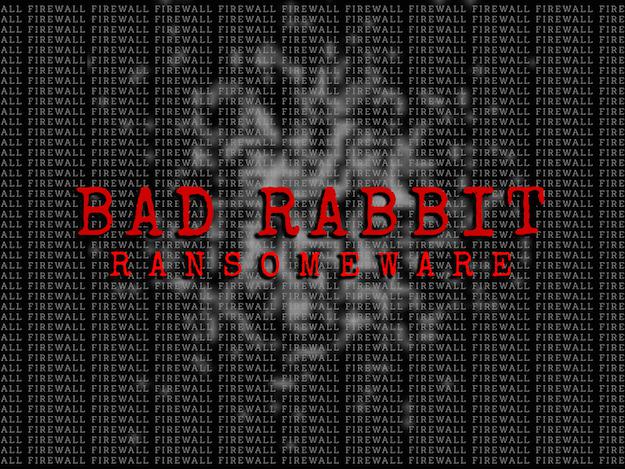 badrabbit625cio8765.jpg