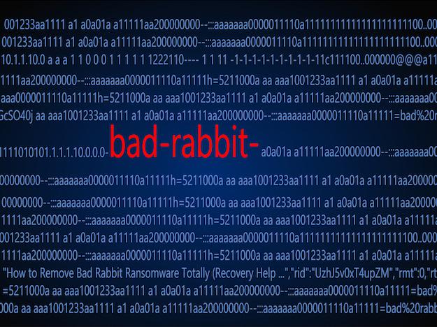 badrabbit625pthj.jpg