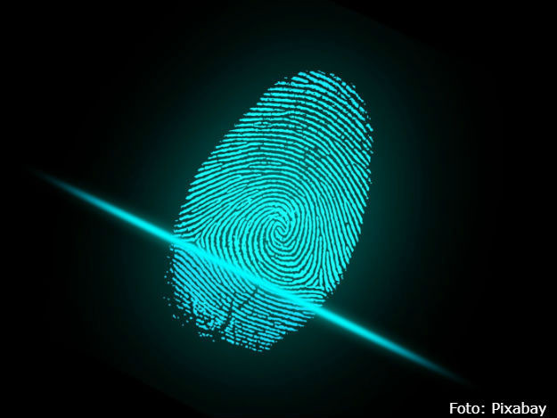 biometria.jpg
