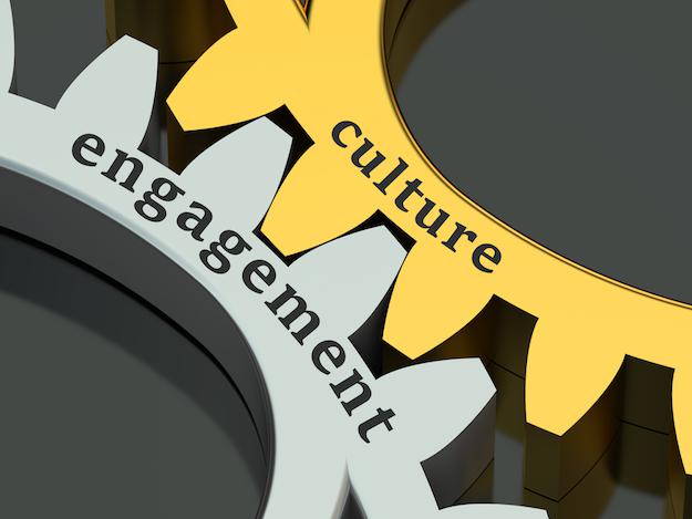 cultura_373295647.jpg