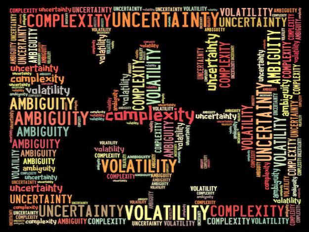 VUCA_1046295442.jpg