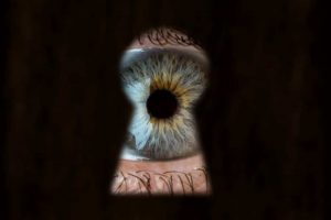 stalker