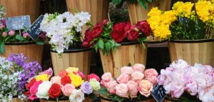 flores