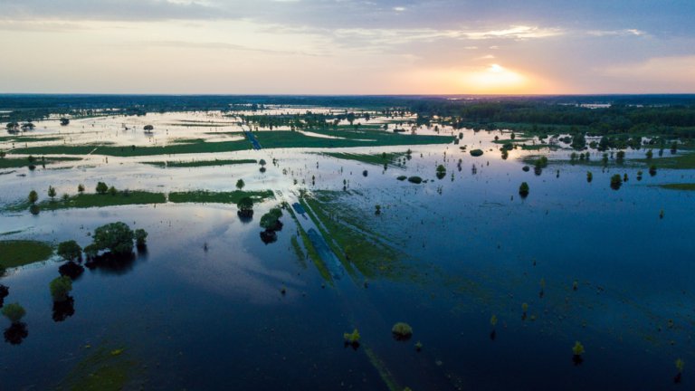 flood