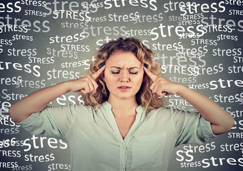 shutterstock_548638960