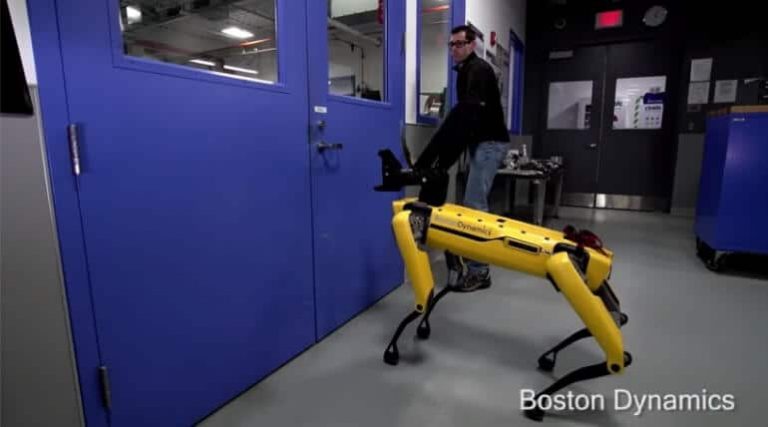 spot boson dynamics 1 1