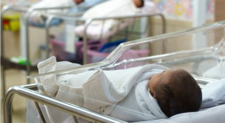 IBM registro bebe blockchain 1