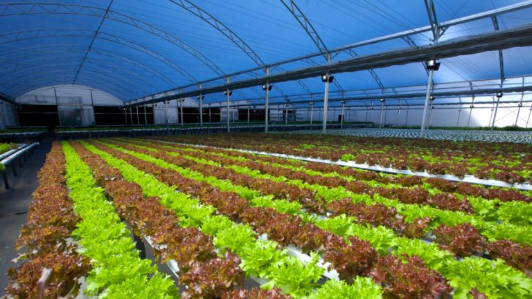 begreen inaugura fazenda urbana industrial 1