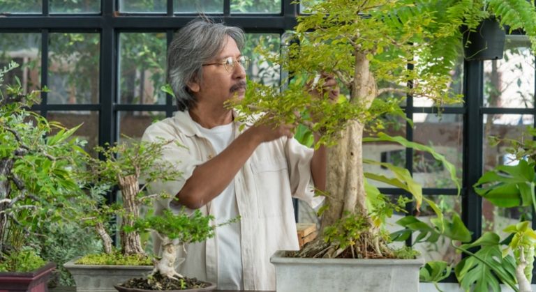 Hobbies podem ajudar na produtividade do trabalhador brasileiro 2 1