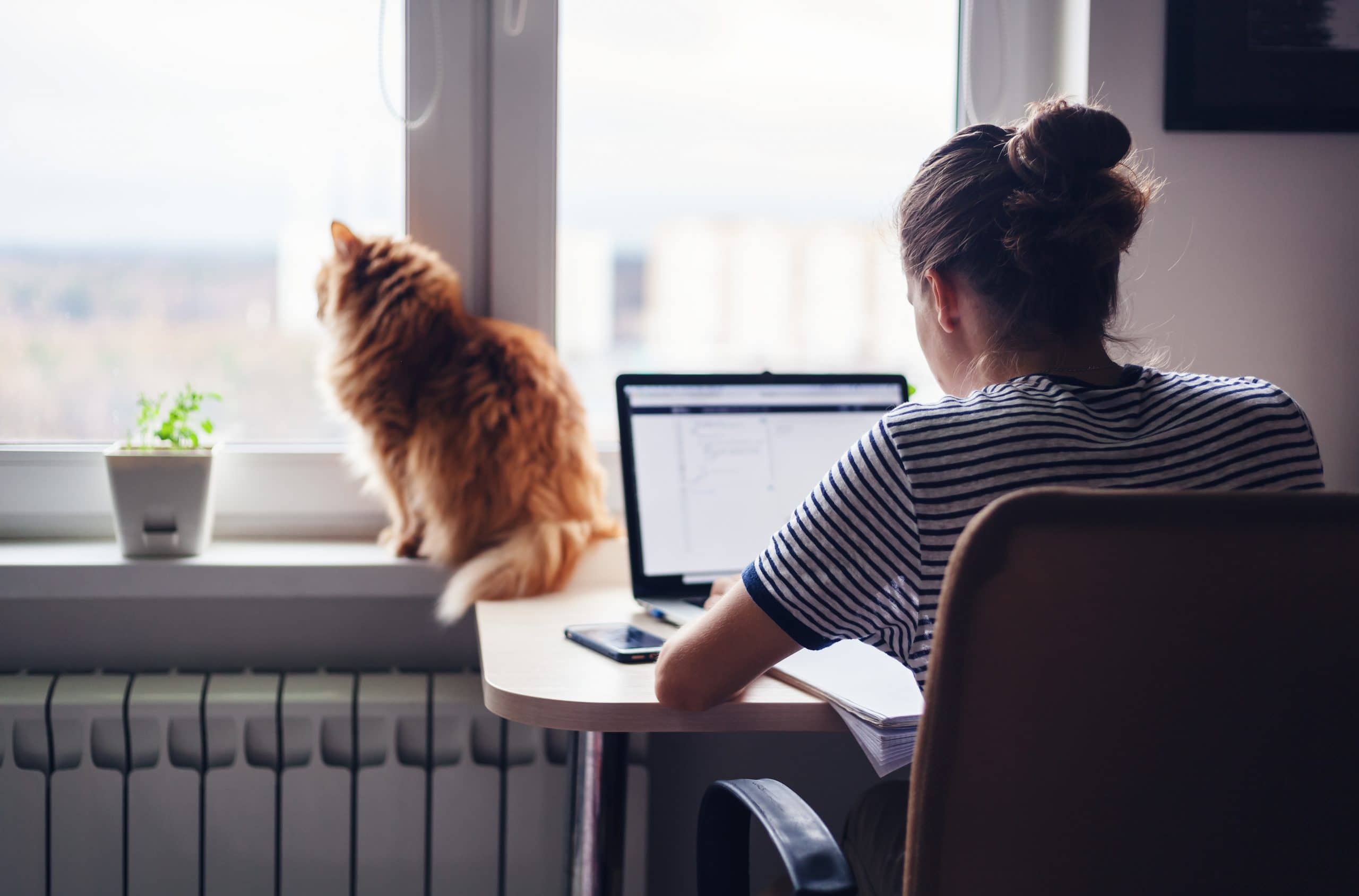 home office segurança
