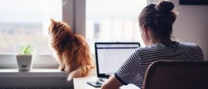 ibge home office