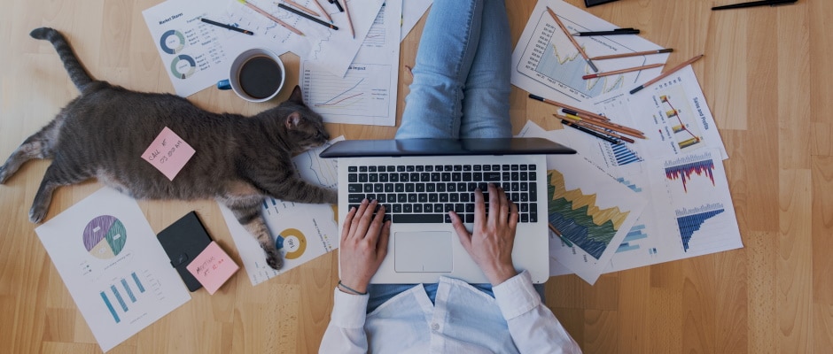 creative home work space - work from home concept - girl with cat
