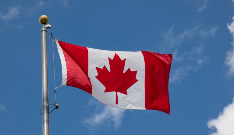 quebec recruta brasileiros TI
