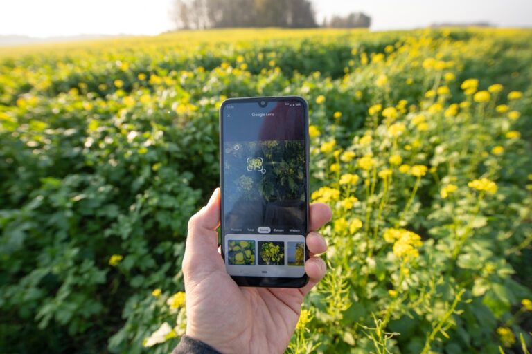 Google Lens ML