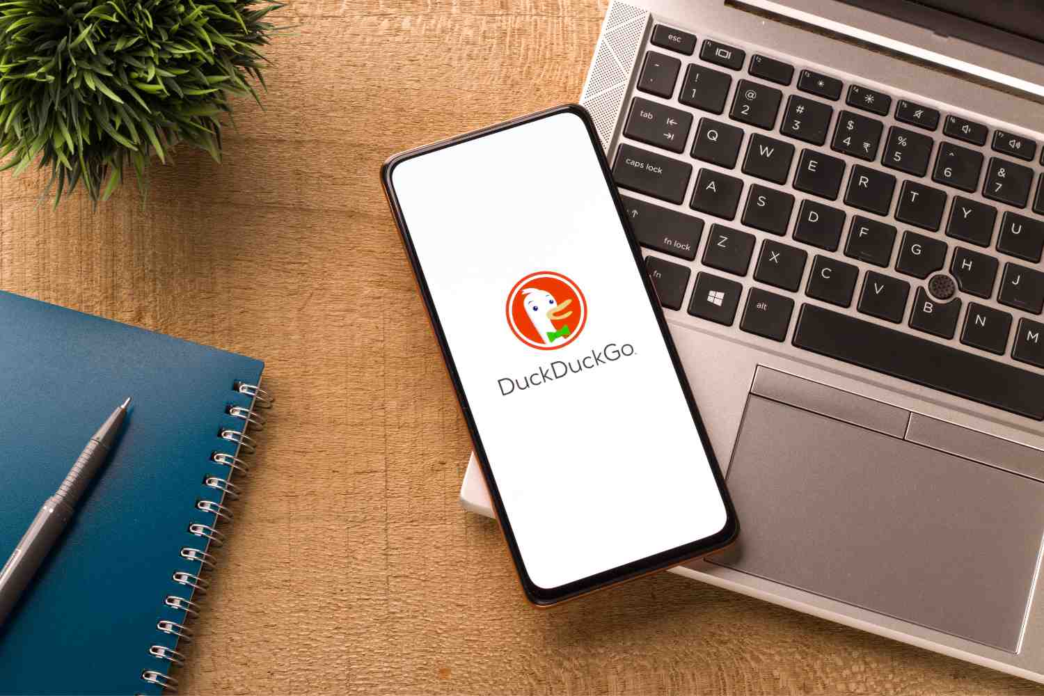 DuckDuckGo
