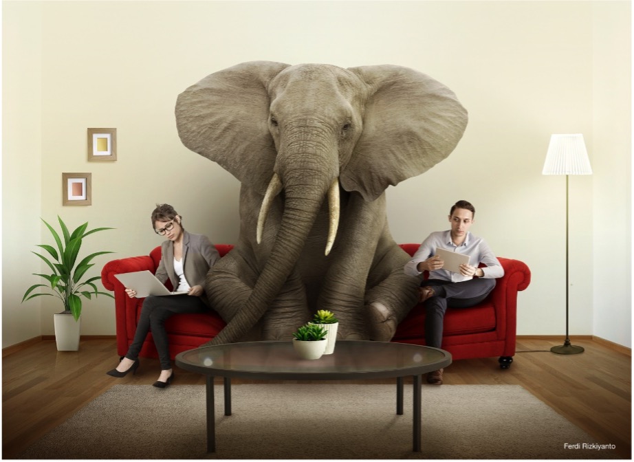 elephant-room