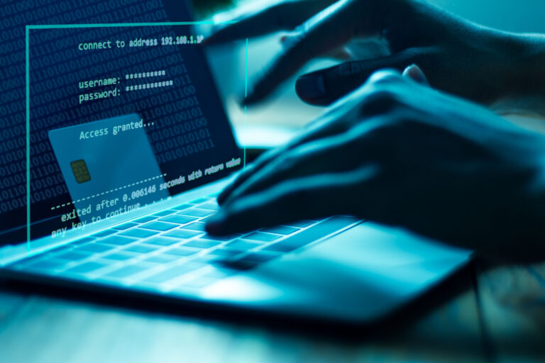 Serasa Experian fraudes Dia dos Pais