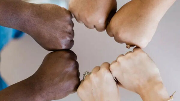 Diversidade