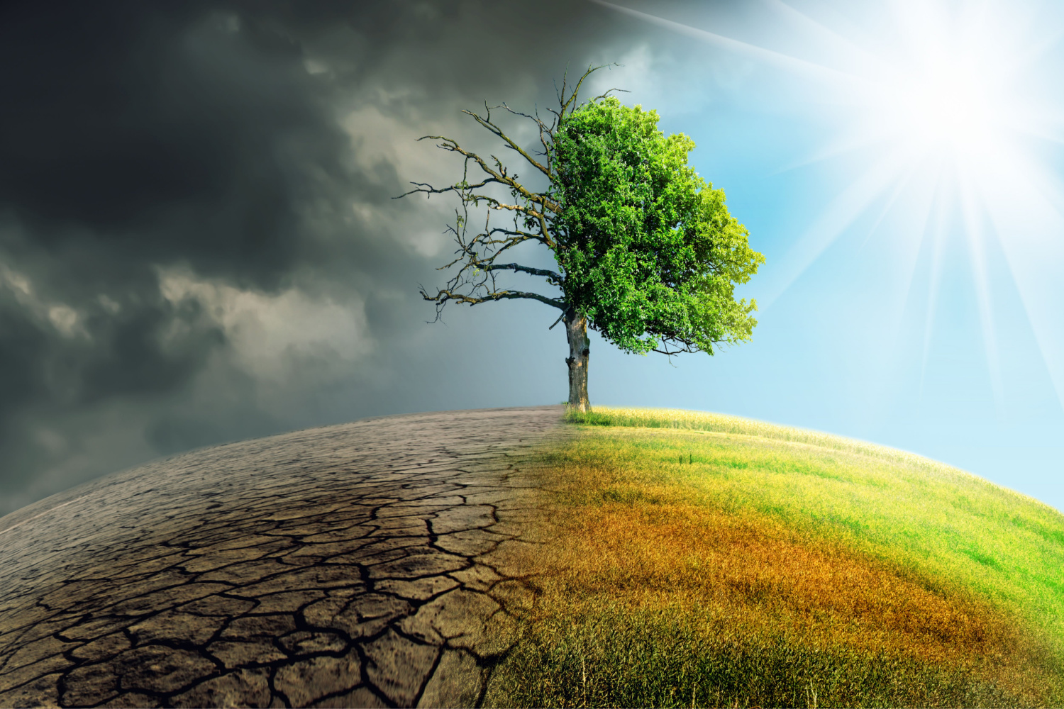 pautas climáticas