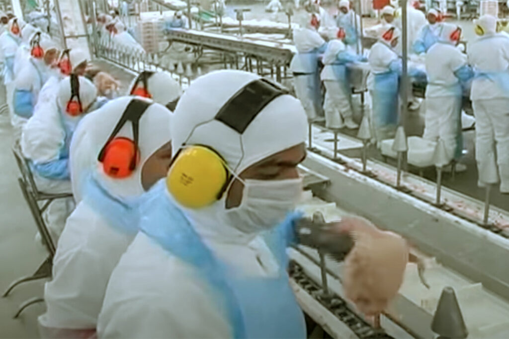Detalhe de uma linha de produção de aves da Sadia (Imagem: Reprodução)