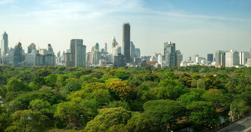 Dia da Árvore. Imagem: Shutterstock
