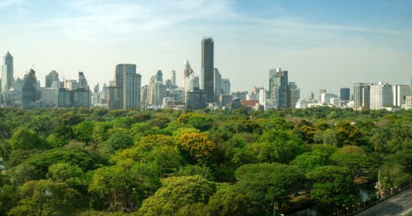 Dia da Árvore. ESG, cidade, ti verde, sustentabilidade, tecnologia, natureza