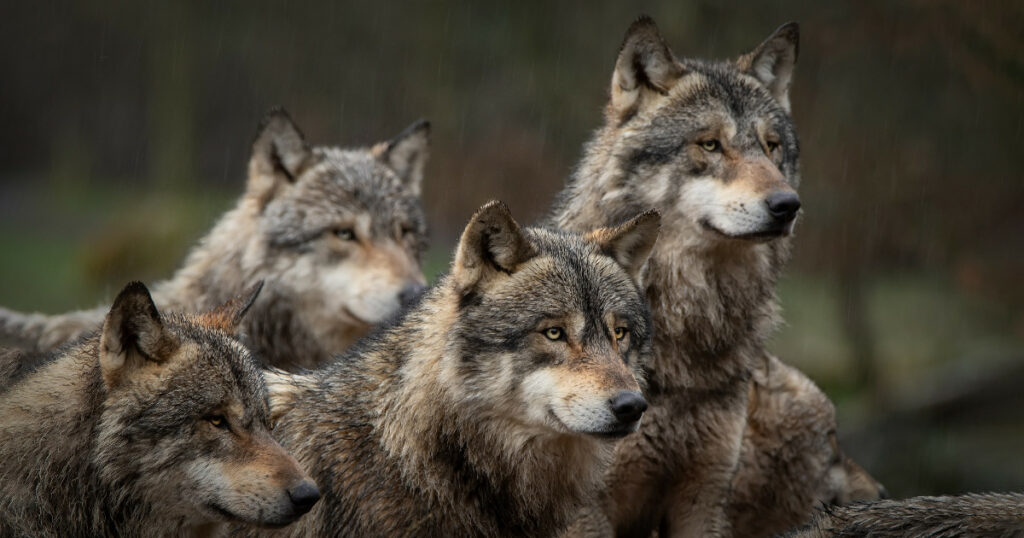 Imagem: Shutterstock