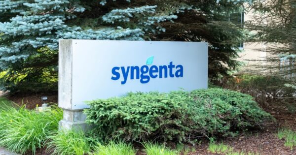 Syngenta Digital lança plataforma para conectar planejamento e execução no campo